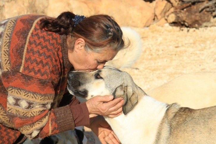 80 hayvana anne oldu, 53 köpek ile 27 kediyi sokaktan kurtardı