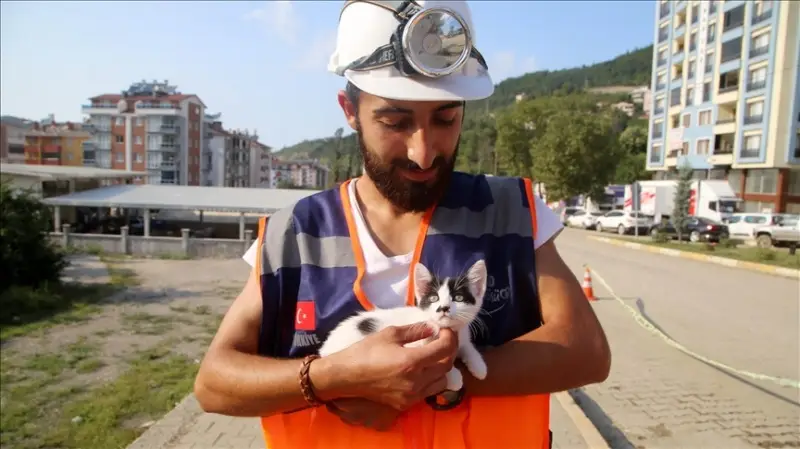 AFAD gönüllüsü, sel bölgesinde enkazdan kurtardığı kediyle çalışmalara devam ediyor