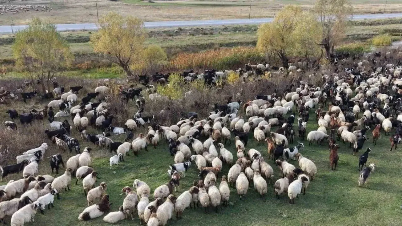 Yayladaki göçerlerin Siirt’e ilk dönüş yolculuğu başladı