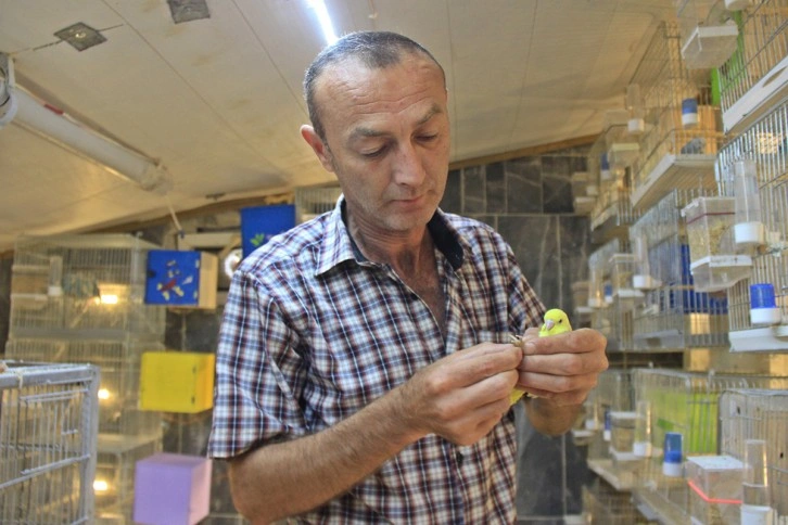 Alkol bağımlısıydı, bir muhabbet kuşu hayatını değiştirdi