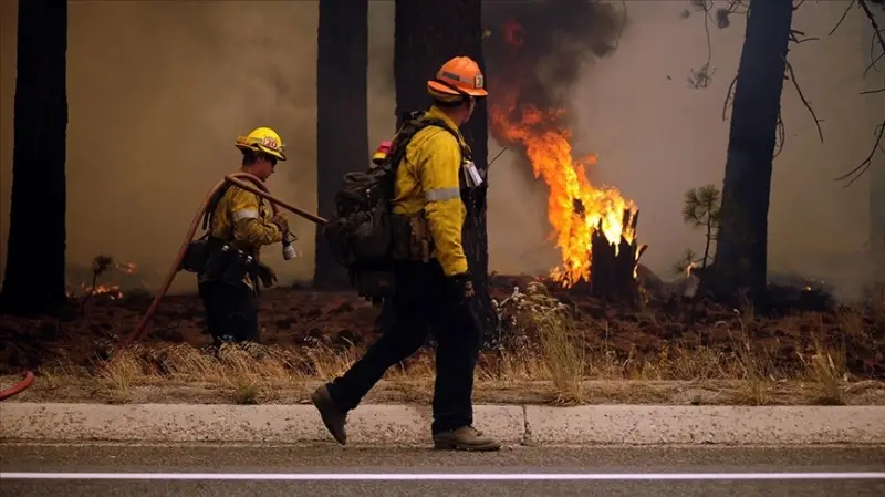 California'da orman yangını otoyola sıçradı