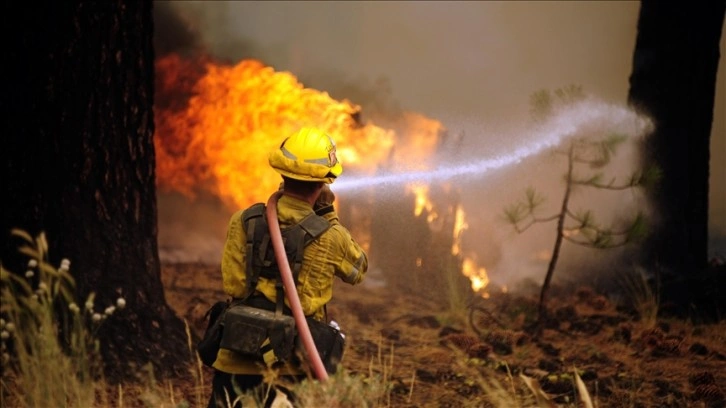 California’daki orman yangınlarına elektrik hattından sıçrayan kıvılcım neden olmuş