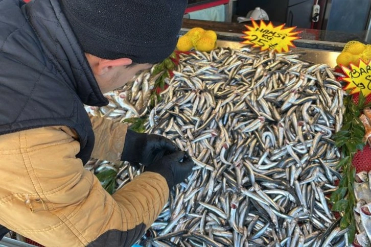 Deniz soğudu, balık bollaştı