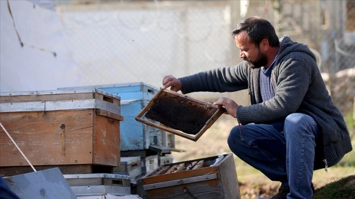 Depremde hayatını kaybeden en yakın arkadaşının arılarına sahip çıktı