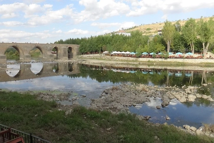 Dicle Nehri'nde balık ölümleri vatandaşları tedirgin etti