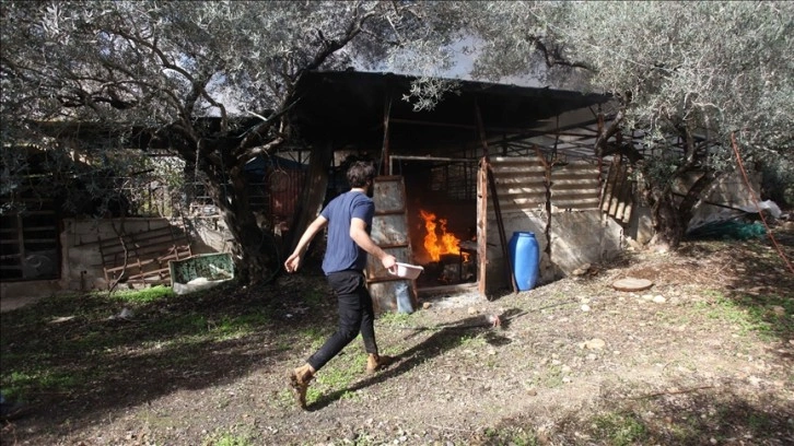 Filistinli STK'lardan Yahudi yerleşimcilerin saldırılarına karşı uluslararası koruma talebi