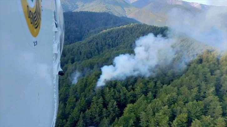 Hatay'da çıkan orman yangını kontrol altına alındı