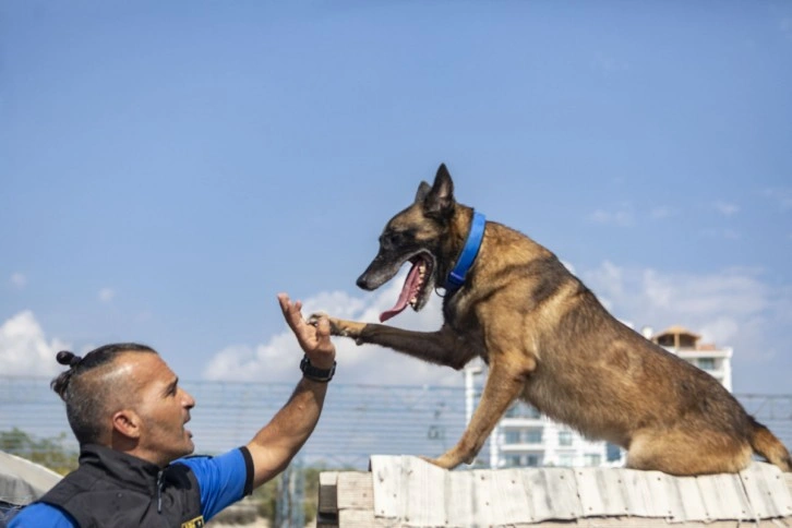 K-9 köpekleri Mersin itfaiyesinin gözü kulağı oluyor