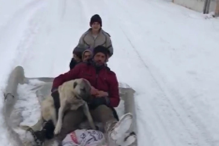 Köpeklerini de yanlarına aldılar, kanepeyle doyasıya kaydılar