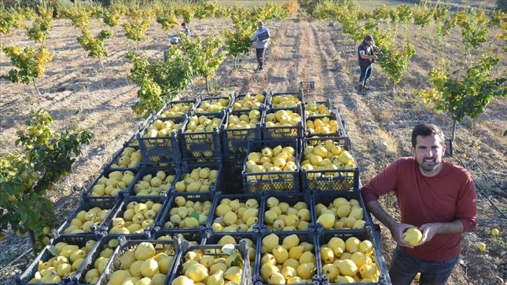 Manisalı genç çiftçinin, devlet desteğiyle kurduğu bahçeden ihracat başarısı