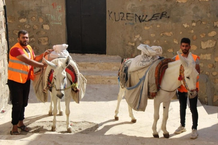 Mardin eşekleri restorasyon çalışmalarında da mesai yapıyor