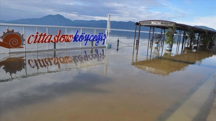 Muğla'da Köyceğiz Gölü taştı, ev ve iş yerlerini su bastı