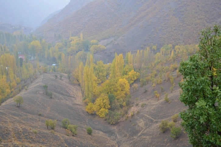 Şırnak’ta Karadeniz'i aratmayan manzara