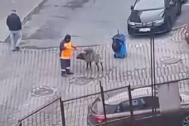 Sultangazi'de temizlik işçisi ile köpeğin dostluğu yürek ısıttı