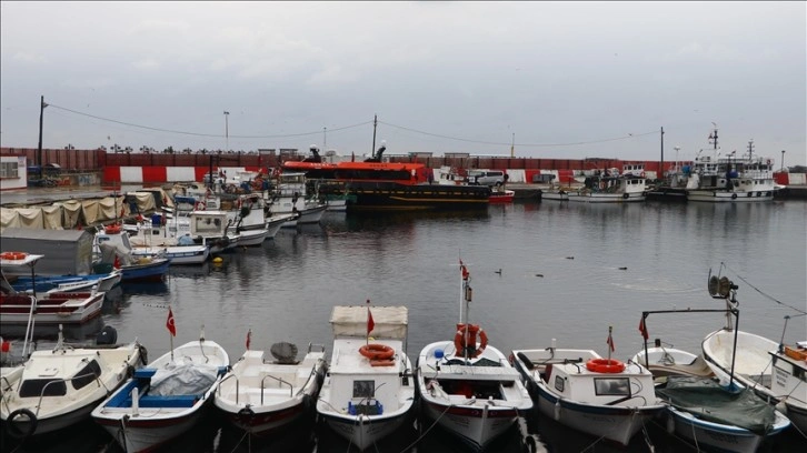 Tekirdağlı balıkçılar havanın normale dönmesiyle yeniden denize açıldı