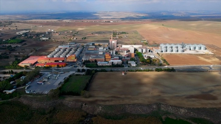 Trakya Birlik ülkenin ayçiçeği ihtiyacının tamamını üretmeyi hedefliyor