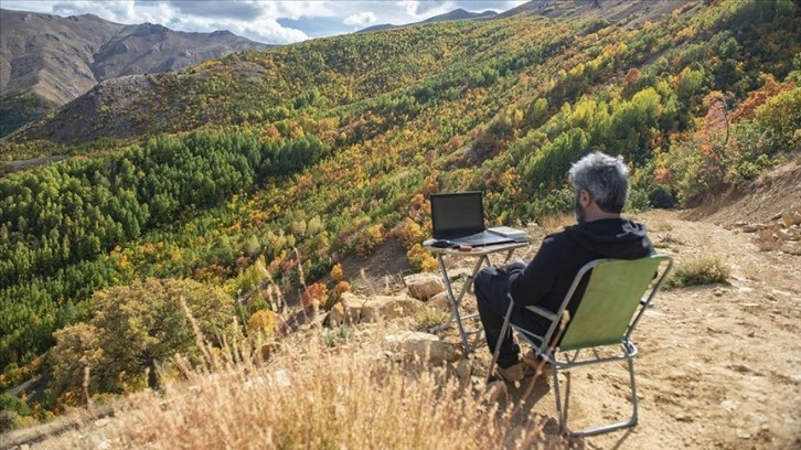 Tunceli'deki Salördek ormanları sonbahar renklerine büründü