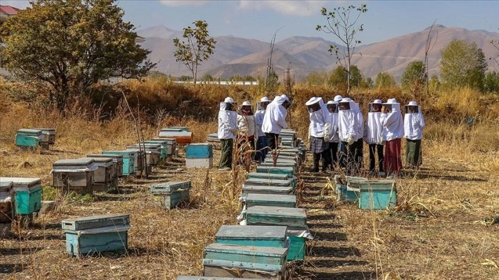 Van'ın arıcı kadınları 'Çiftçi Okulu'nda yetişiyor