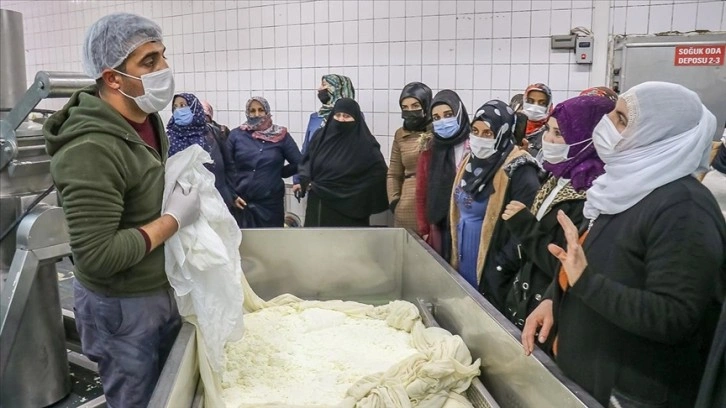 Vanlı kadınlar 'çiftçi okulu' sayesinde üretici oldu