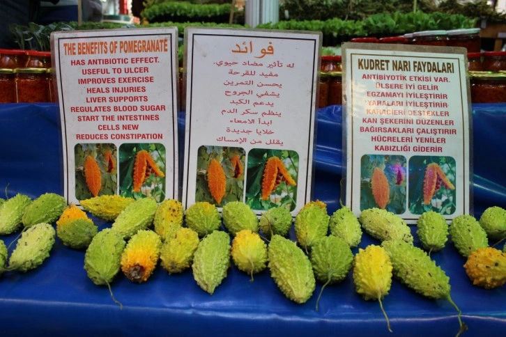 Yaraları iyileştiren böyle 'kudret'li ilaç yok