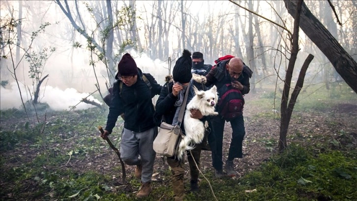 Yunan STK'lere göre, Yunanistan sığınmacılara uygun barınma sağlayamıyor