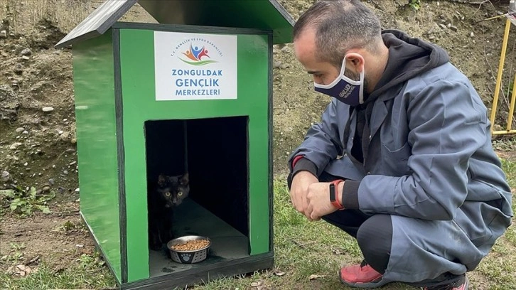 Zonguldak'ta 'can dostlar' gençler sayesinde sıcak yuvalarına kavuşuyor