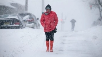 ABD'de Doğu Yakası ve başkent Washington kar fırtınasının etkisi altında