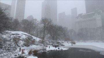 ABD'de sert kış şartları hayatı olumsuz etkiliyor