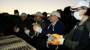 Afyonkarahisar'daki Frig Vadisi'ne doğal yaşamı desteklemek için hayvan salındı