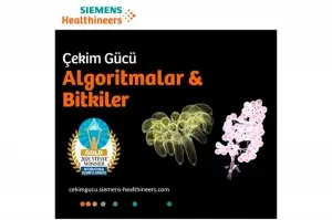 Algoritmalar ve Bitkiler Sergisi, Stevie Uluslararası İş Ödülleri’nde altın ödül kazandı