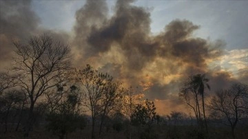 Arjantin'de devam eden orman yangınlarına müdahale sürüyor