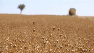 Atıl tarım arazileri yeni projelerle ekonomiye kazandırılacak