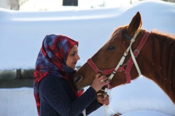 'Atlar benim çocuklarım gibiler'