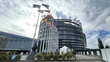 Avrupa Parlamentosundan sirklerde hayvanların kullanılmasının yasaklanması çağrısı
