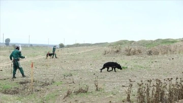 Azerbaycan Ermenistan'ın döşediği 48 binden fazla mayın ve patlamamış mühimmatı imha etti