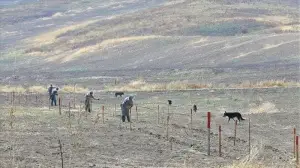 Azerbaycan'ın işgalden kurtarılan kentlerinde 10 aydır karış karış mayın temizliği yapılıyor