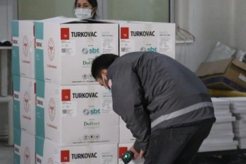 Bakan Koca duyurmuştu, yeni seri TURKOVAC aşılarının dağıtımı başladı