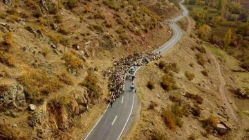 Bitlis'te göçerlerin dönüş yolculuğu sürüyor