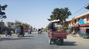 BM Afganistan Temsilcisi McGroarty: Afganistan'da ekonomi çökmenin eşiğinde