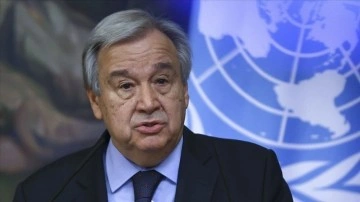 BM, Çin Devlet Başkanı Şi'den Sincan Uygur Özerk Bölgesi'ne erişim istedi