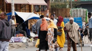 BM, Etiyopya'daki 'insan hakları ihlallerinin' soruşturulmasını kabul etti