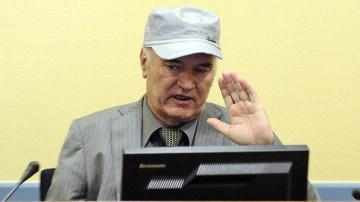 BM'den Sırbistan'da savaş suçlusu Mladic'in duvar resminin korunmasına tepki