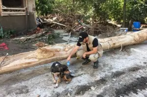 Bozkurt’ta yürekleri ısıtan görüntü