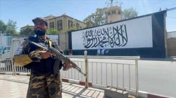 Büyükelçi Naegeli: Taliban uluslararası camiayla diyaloğa açık