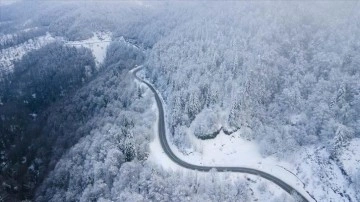 Çam Dağı'nda kar ve sis güzelliği