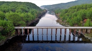 Ceyhan Nehri çevresinde sonbaharın renkleri hakim oldu