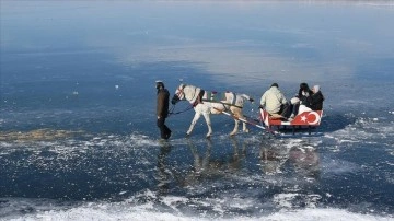 Çıldır Gölü'nde buz üstünde atlı kızak keyfi