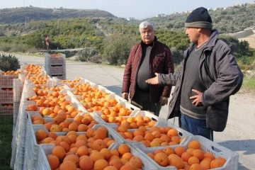 Dalında 1,5 liraya sattı; zincir markette fiyatı 5,90 liraya fırladı