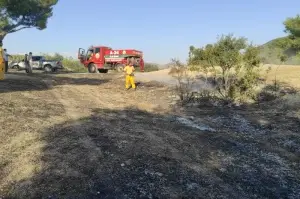 Deliçay köyünde orman yangını büyümeden söndürüldü