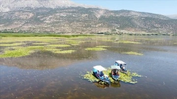 Denizli'deki Işıklı Gölü'nde 'nilüfer mevsimi'